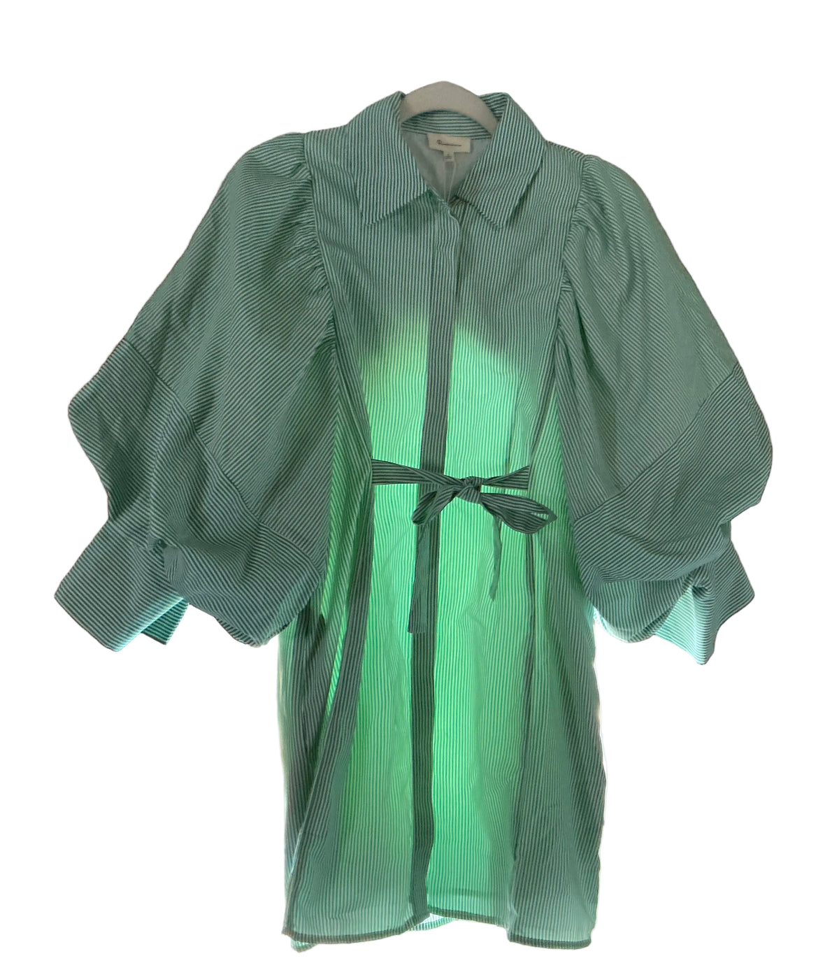 The Remi Dress Green Stripe