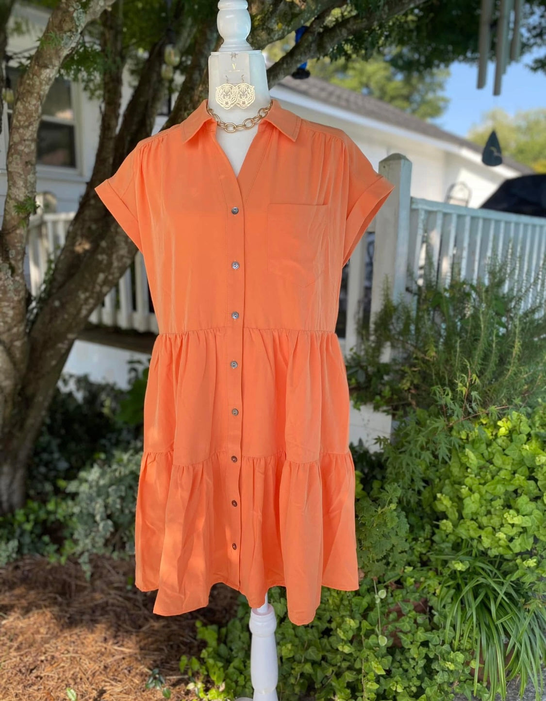 Apricot Delight