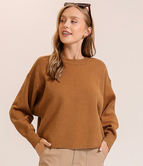 Brown Sweater